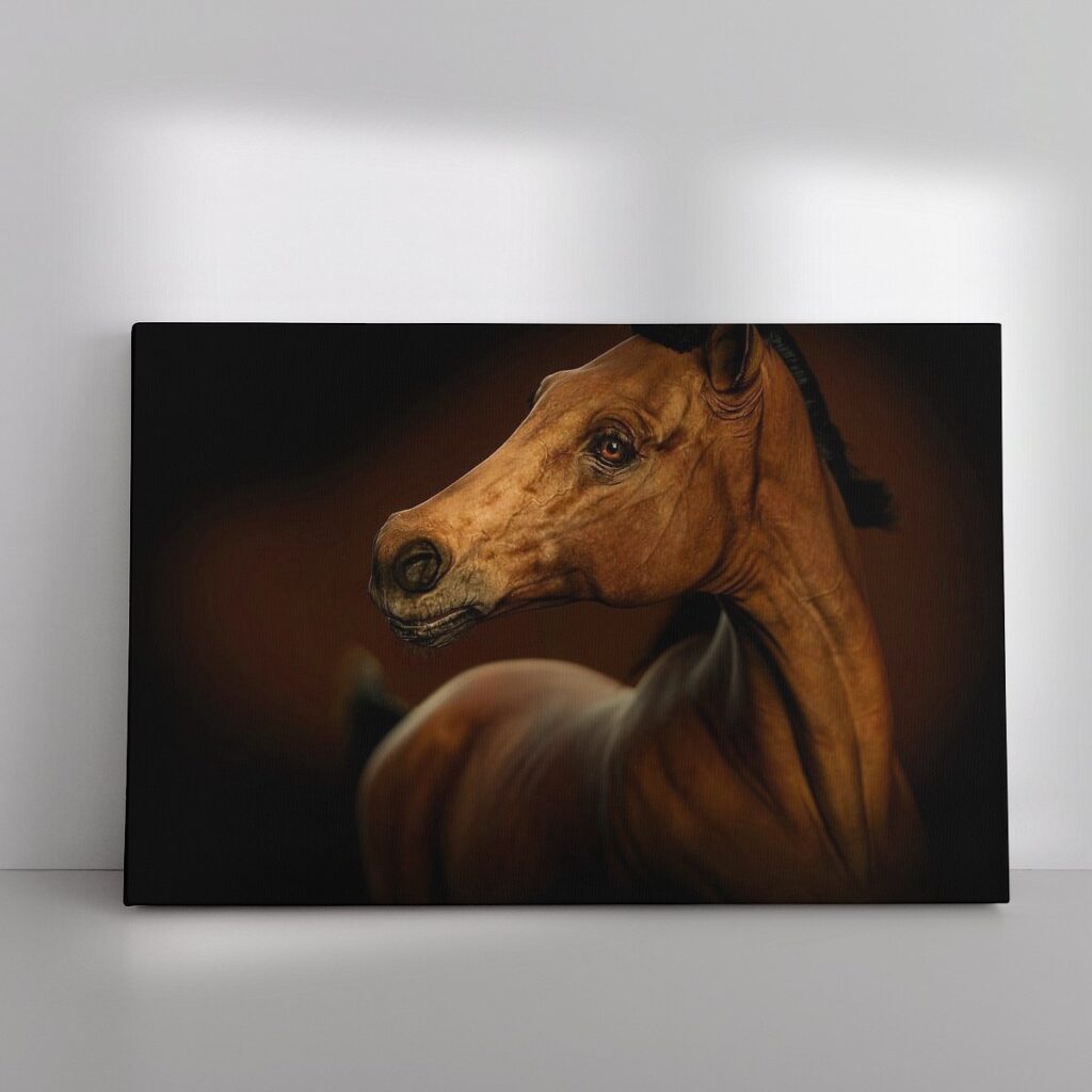 Portret van een paard