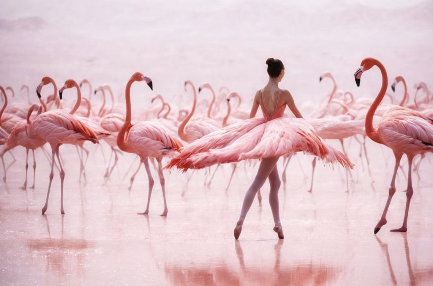 Ballet in Roze, kunst voor het goede doel, Pink Ribbon