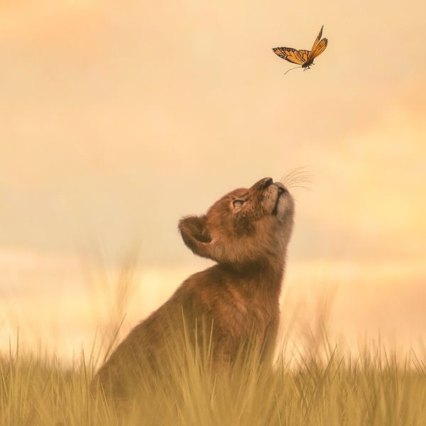 Nieuwschierige leeuwenwelp