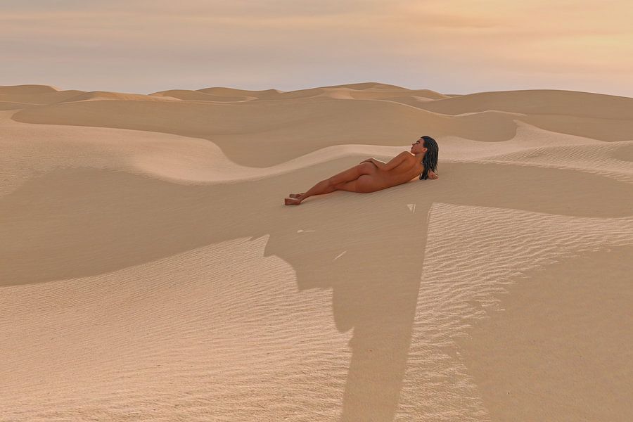 Ontdek de serene schoonheid van het vrouwelijk naakt in harmonie met de zachte zandduinen van de woestijn. Dit fine-art werk combineert natuurlijke vormen en warme tinten voor een rustgevende en intieme sfeer in elk interieur.