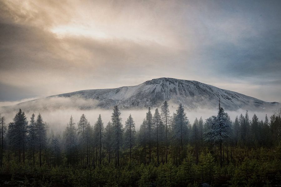 Sonfjället in Stilte