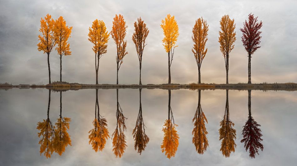Herfstbomen in Spiegeling langs Stil Water
