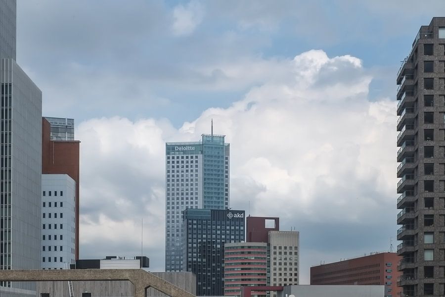 Bossen van hoogbouw in Rotterdam