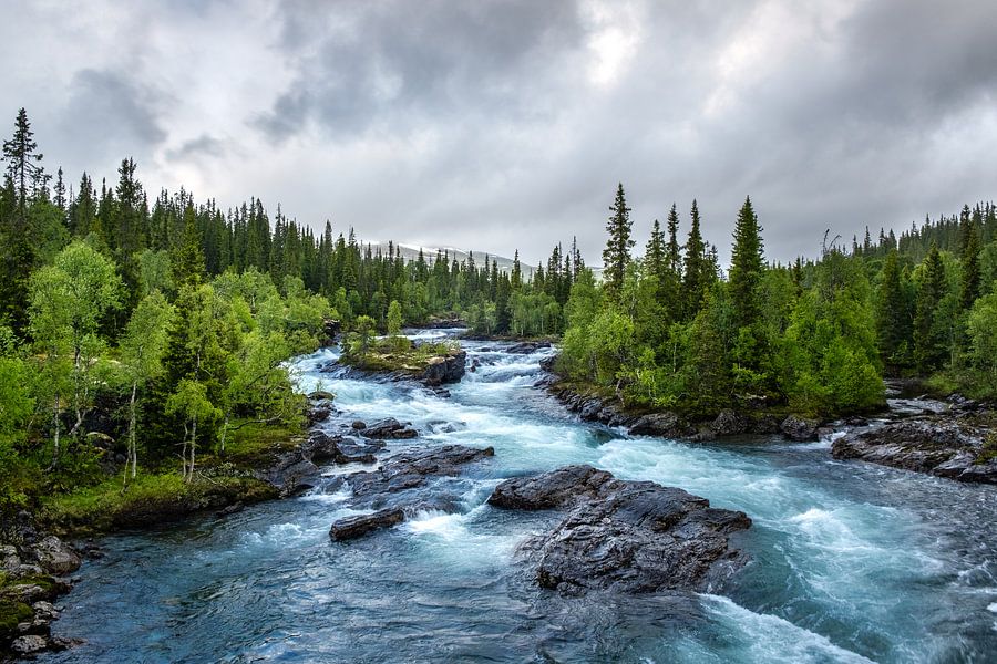 Beleef de kracht en sereniteit van een stroomversnelling in het ongerepte bos langs de Vildmarksvägen. Deze natuurfoto vangt de dynamiek van stromend water en de mystieke sfeer van een bewolkte dag.
