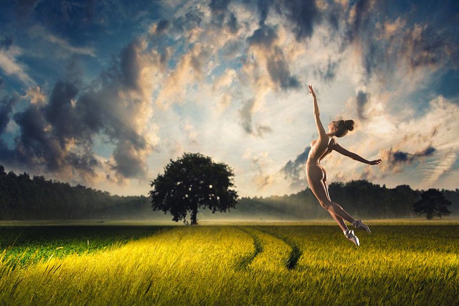 Balletsprong in het veld