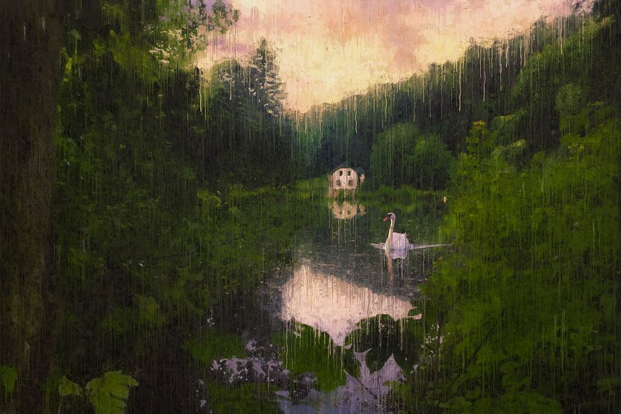 Witte zwaan bij het witte huis aan het water