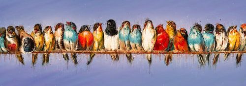 All the colourful birds