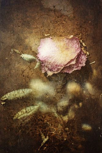 Landelijk en Retro Collodium: Abstracte Bloem in Vintage Kleurpalet