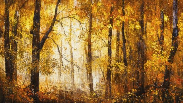 Gouden Herfstbos in Zacht Licht