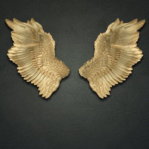 Stilleven van vleugels op een grijze textuur